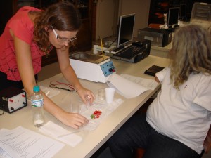 Dra. Karin e Prof. Régis preparando material para extração de DNA de morango.