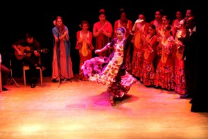 foto flamenco